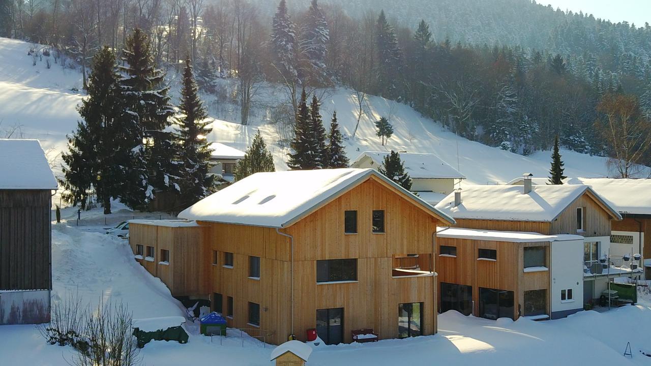 Appartment Bodensee Альбершвенде Екстер'єр фото